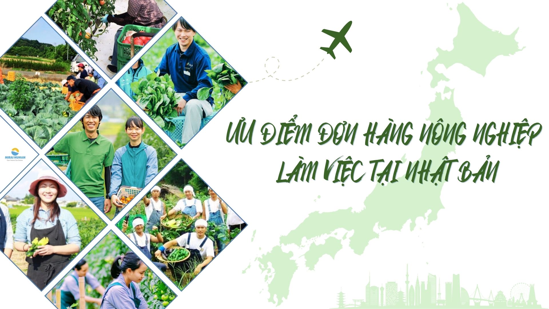 lao động Nhật Bản